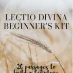 lectio divina cover page