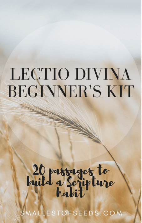 lectio divina cover page