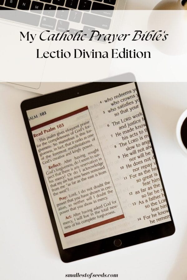 My Catholic Prayer Bible Lectio Divina Edition