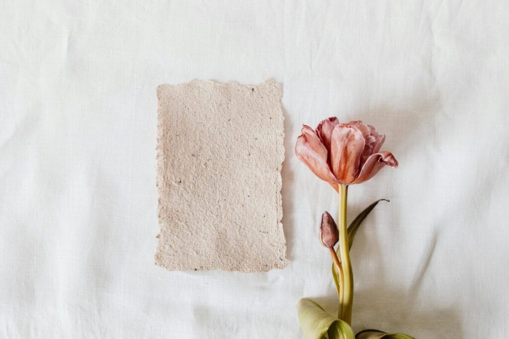 Elegant arrangement of a pink tulip and textured paper on a white fabric background, showcasing minimalist design.
