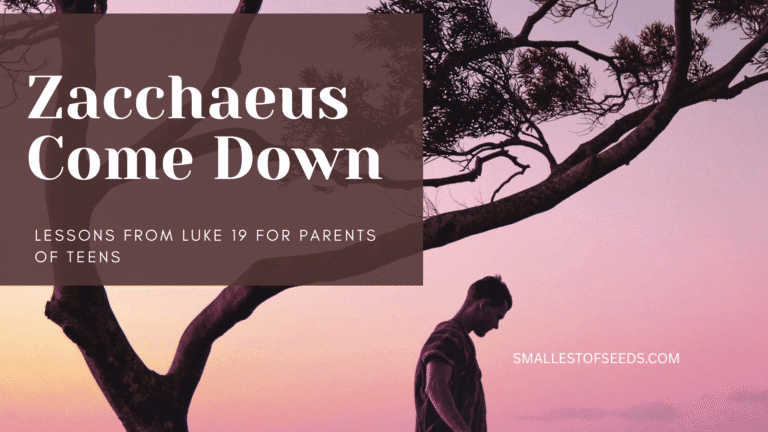 zaccheaus come down - lessons from luke for parents of teens