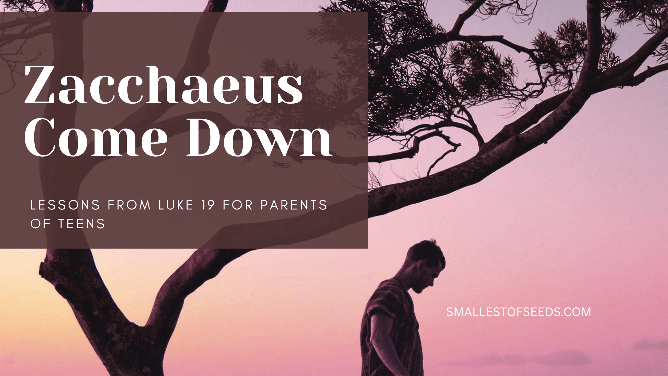 zaccheaus come down - lessons from luke for parents of teens