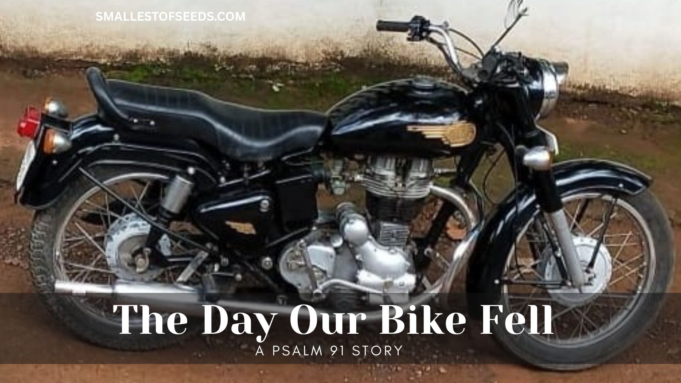 the day our bike fell